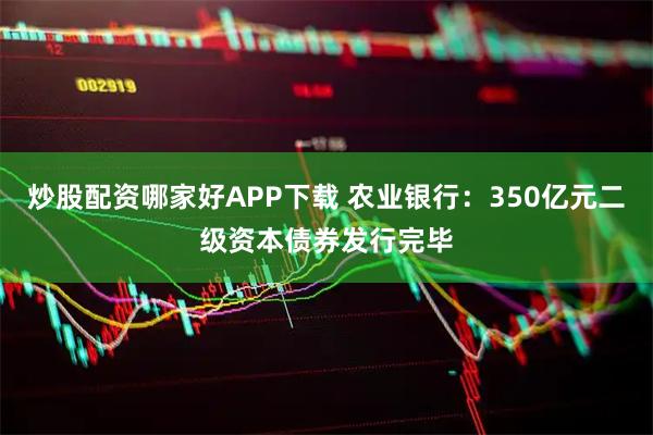 炒股配资哪家好APP下载 农业银行：350亿元二级资本债券发行完毕