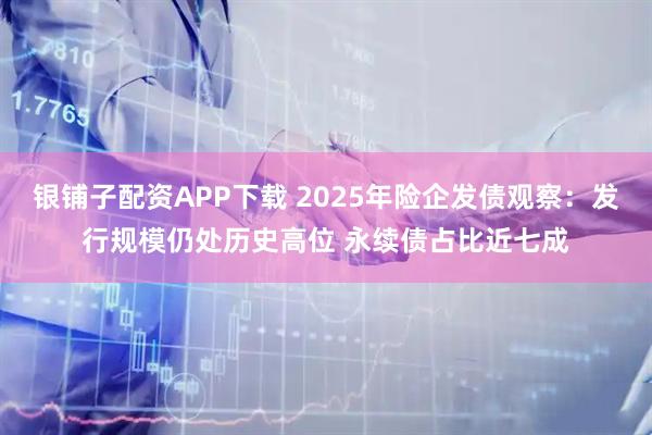 银铺子配资APP下载 2025年险企发债观察：发行规模仍处历史高位 永续债占比近七成