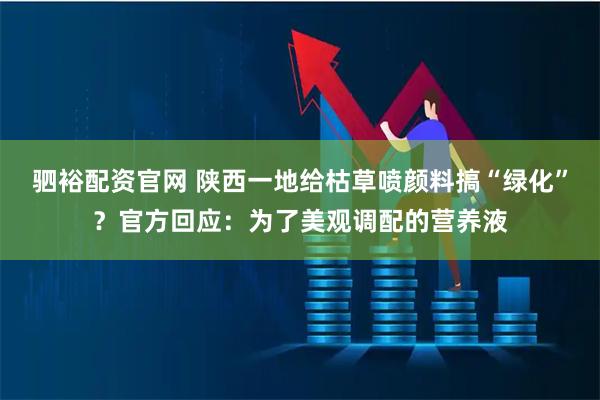 驷裕配资官网 陕西一地给枯草喷颜料搞“绿化”?官方回应:为了美观调配的营养液